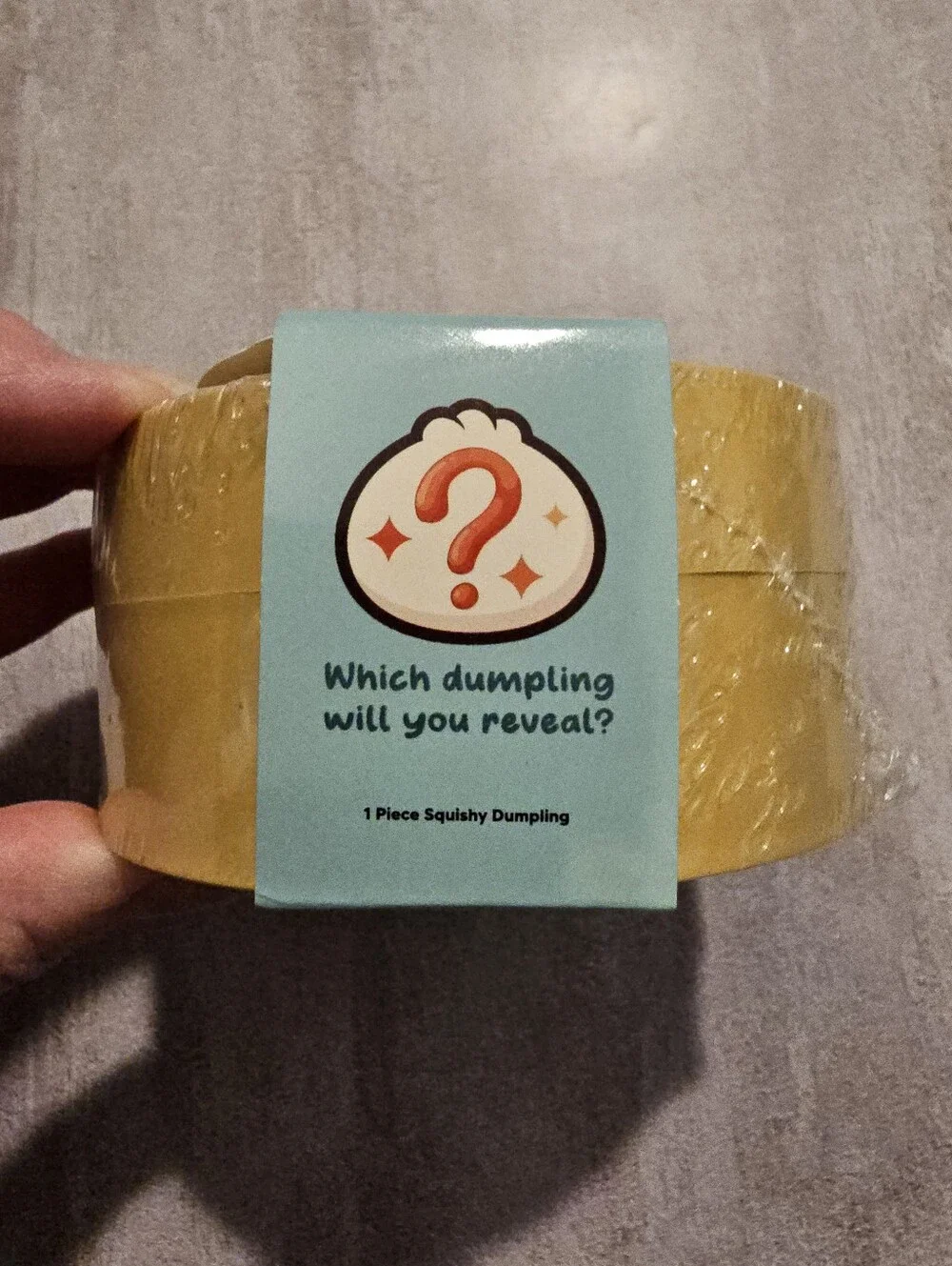 Mystery Dumpling Unopened